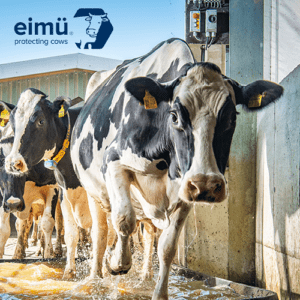 [:de]Eimu[:]