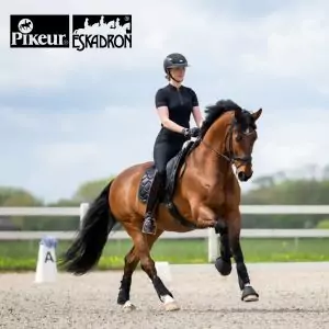 [:de]Arendicom_Marke_Pikeur_Eskadron_300x300px[:]